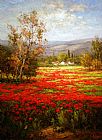 Unknown Poppy Field Splendid Pathway painting